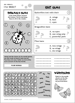 English printable resources: Insect worksheets