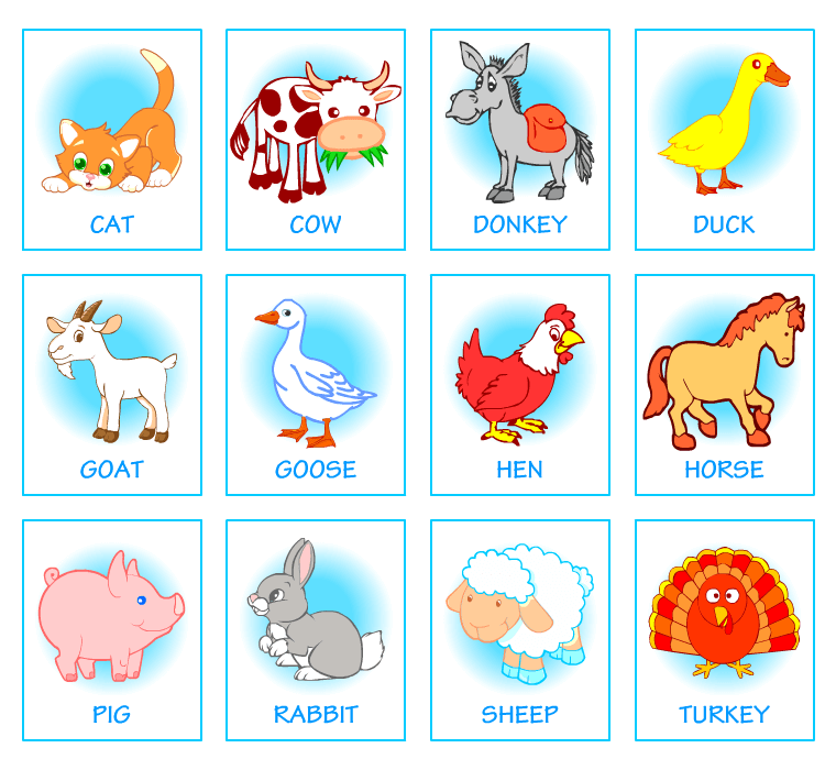 Picture dictionaries. Domestic animals