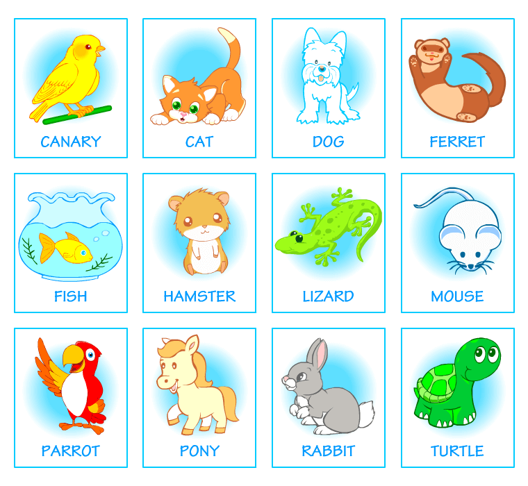 Picture dictionaries for kids learning English. Pets