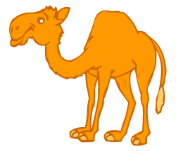 Camel fun facts for kids learning English