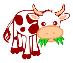 English words: cow