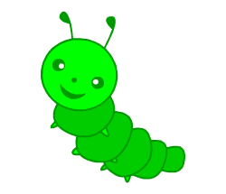Insect fun facts for kids learning English