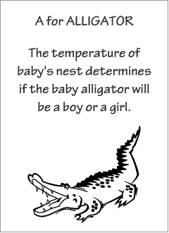 English printable resources: Alligator readers