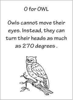 English printable resources: Owl readers