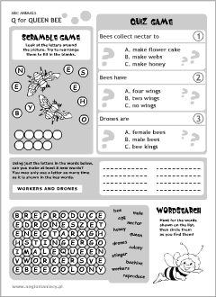 English printable resources: Queen Bee worksheets