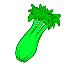 English vocabulary: celery