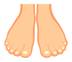 English words: feet