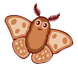 English words: moth