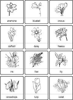 ESL worksheets: Spring Flowers vocabulary