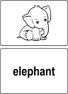 Flashcards for learning English