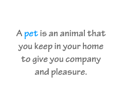 English vocabulary: Pets