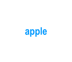 Flashcards: apple