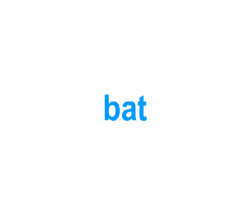 Flashcards: bat