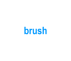 Flashcards: brush