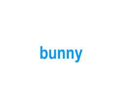 Flashcards: bunny