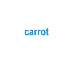 Flashcards: carrot