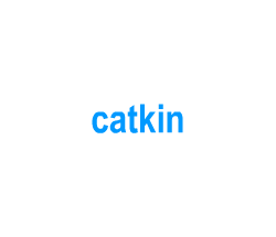 Flashcards: catkin