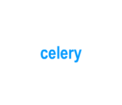 Flashcards: celery
