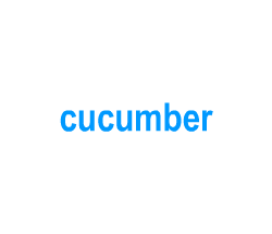 Flashcards: cucumber