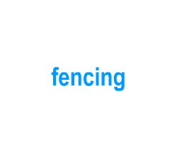 Flashcards: fencing