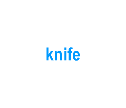 Flashcards: knife