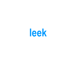 Flashcards: leek