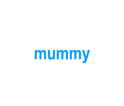 Flashcards: mummy