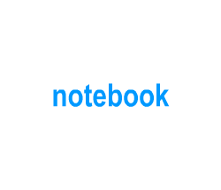 Flashcards: notebook