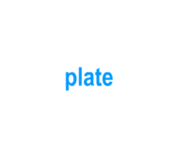 Flashcards: plate