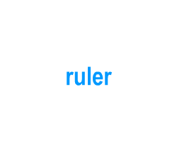 Flashcards: ruler