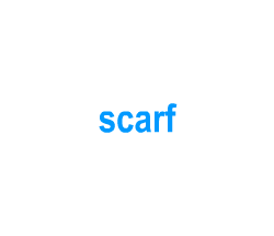 Flashcards: scarf