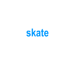 Flashcards: skate