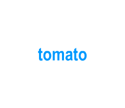 Flashcards: tomato