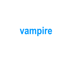 Flashcards: vampire