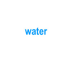 Flashcards: water