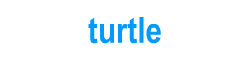 Picture dictionary for kids: turtle