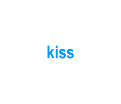 Flashcards: kiss