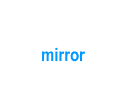 Flashcards: mirror